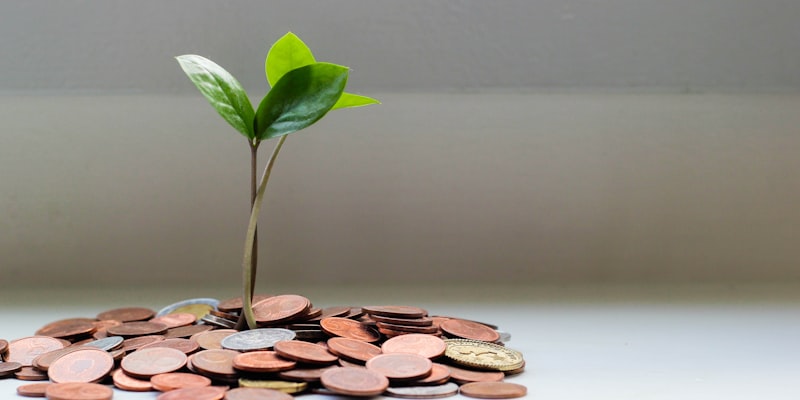 What to Charge as a Freelancer (How to Set Your Rates)